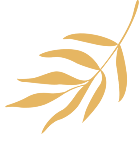 微信图片_20250601161521.gif